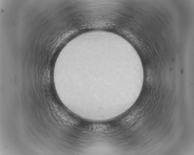 X0000059780636200511111510