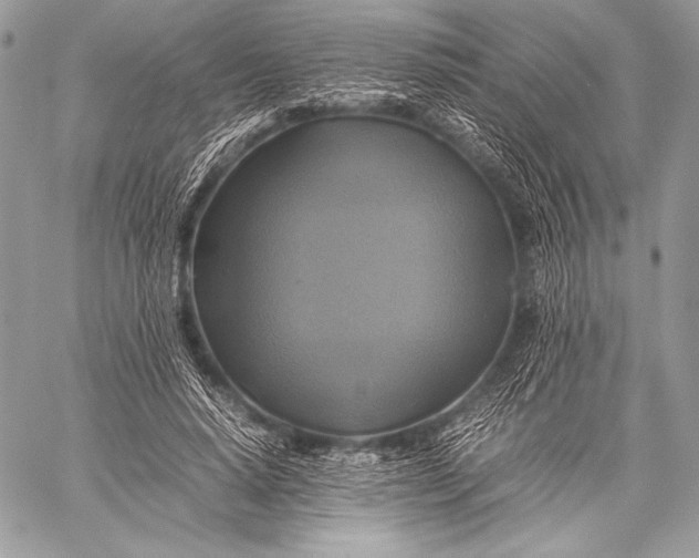X0000059780640200511111510