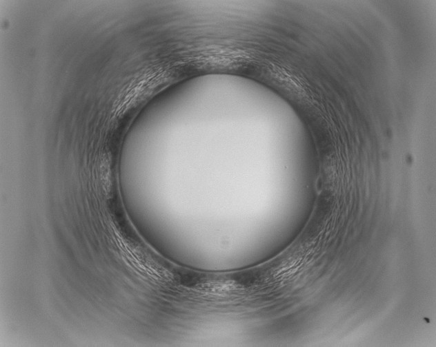 X0000059780642200511111510