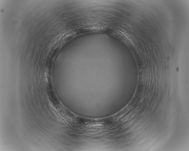 X0000059780643200511111510