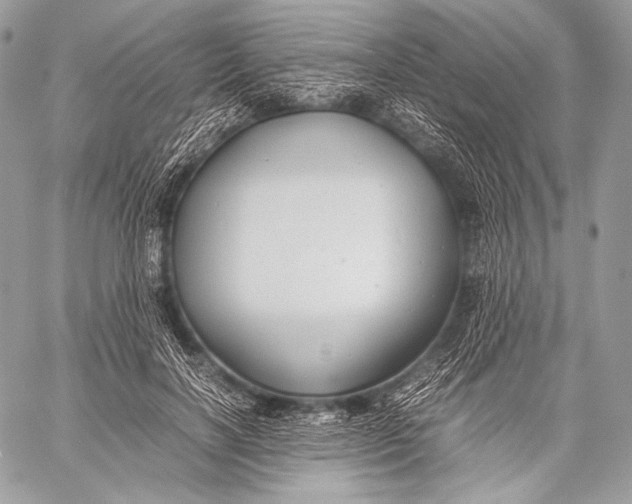 X0000059780646200511111510