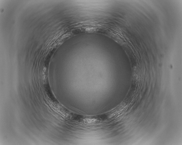 X0000059780650200511111510