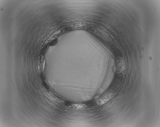 X0000059780654200511111510
