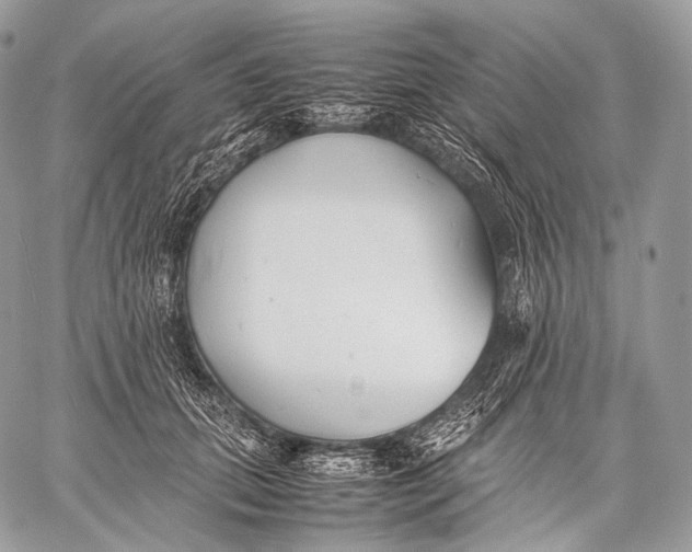 X0000059780655200511111510