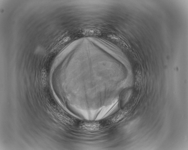 X0000059780659200511111511