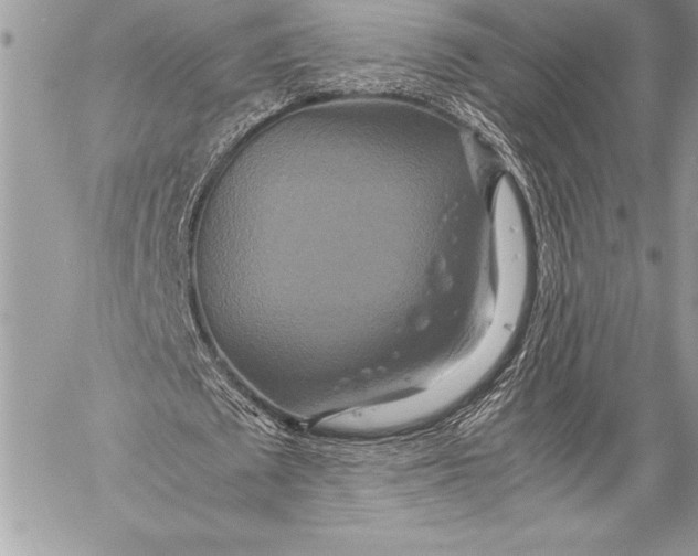 X0000059780673200511111510