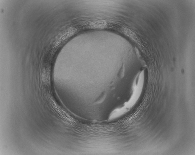 X0000059780681200511111510