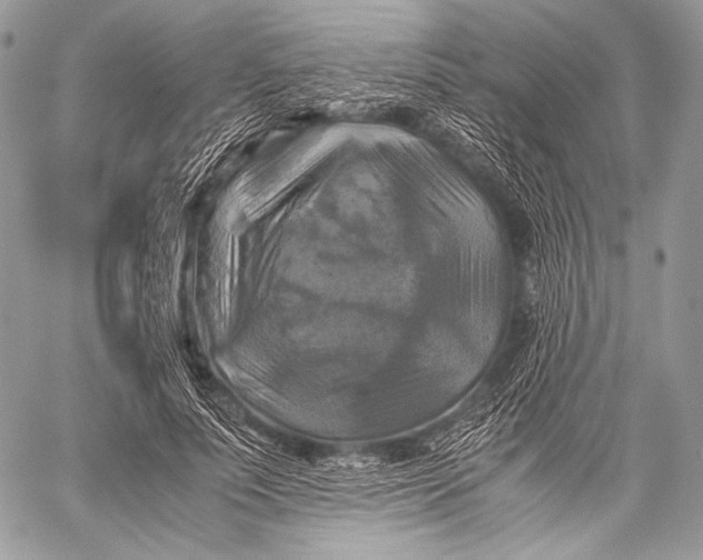 X0000059780691200511111510