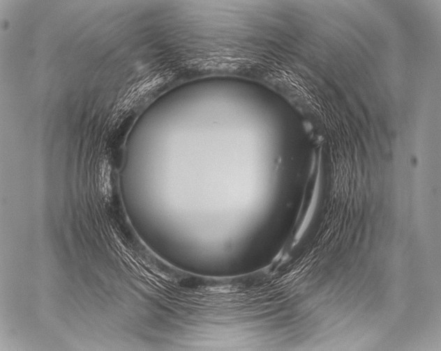 X0000059780692200511111510