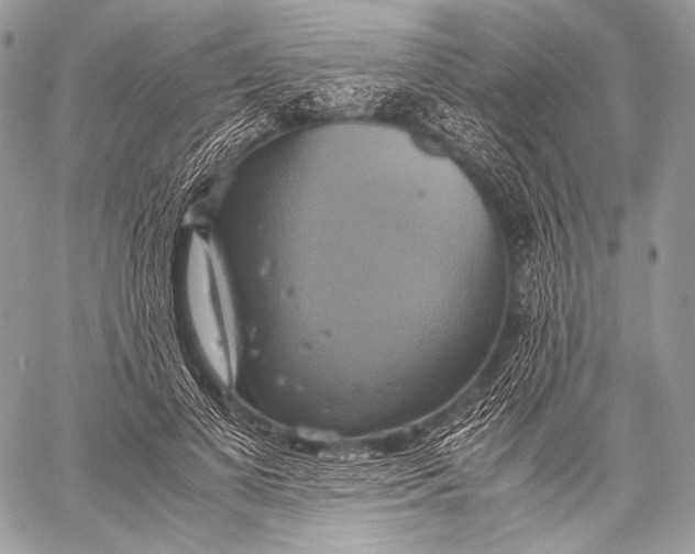 X0000059780693200511111510