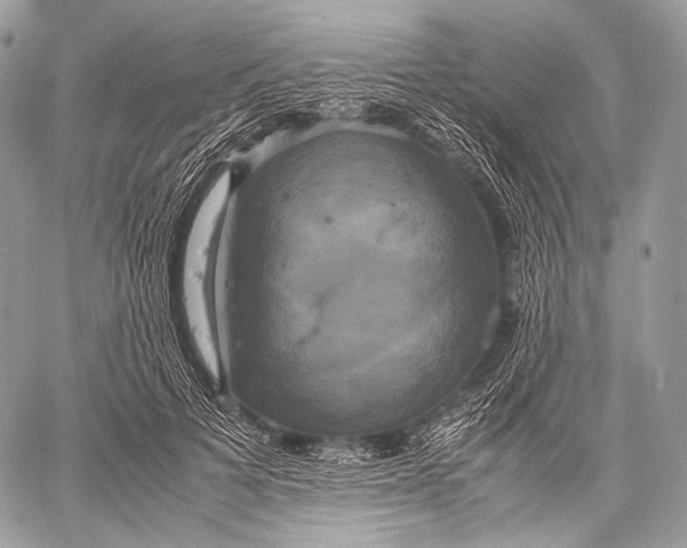 X0000059780697200511111510