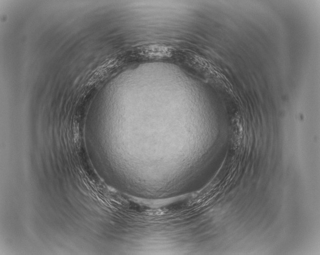 X0000059780704200511111509
