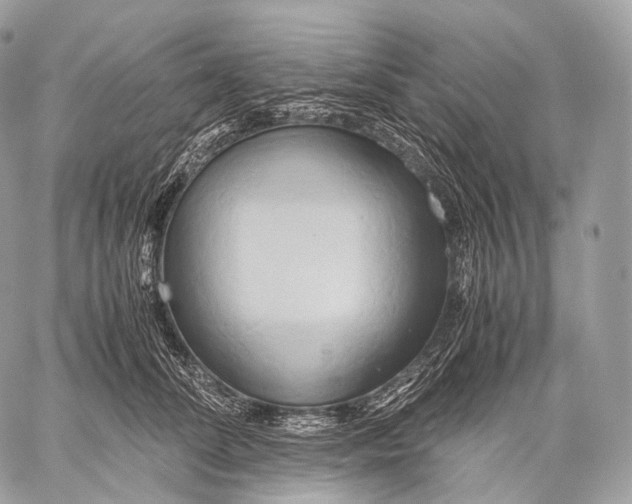 X0000059780708200511111509