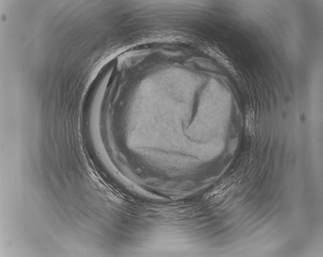 X0000059780724200511111508