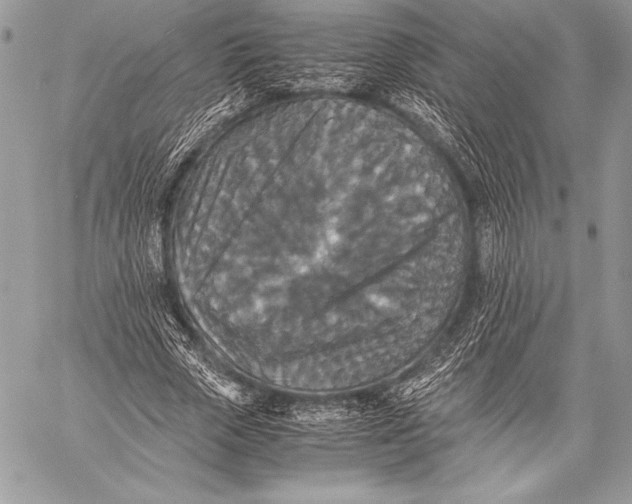 X0000059780729200511111509