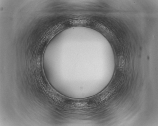 X0000059780737200511111509