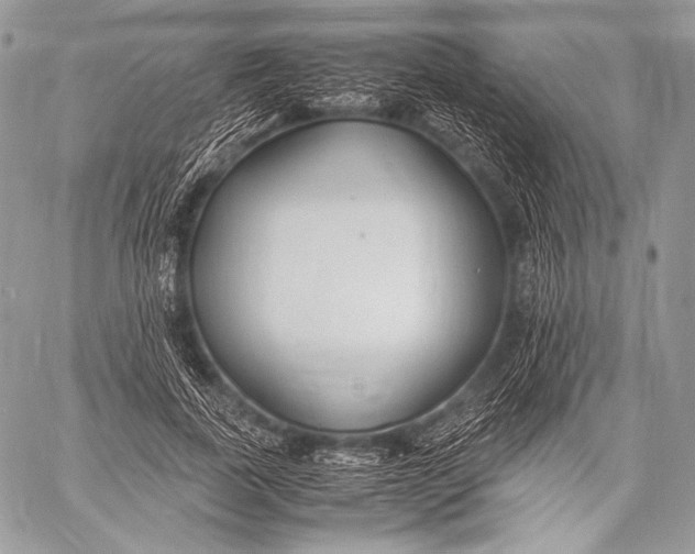X0000059780739200511111509