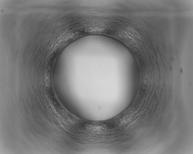 X0000059780743200511111509