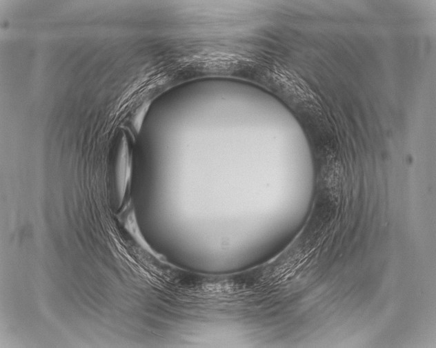 X0000059780744200511111509