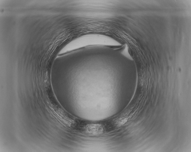 X0000059780748200511111509