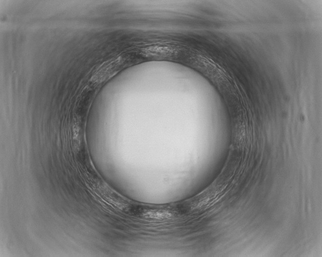 X0000059780749200511111509