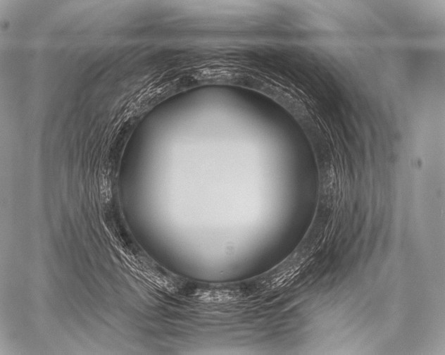 X0000059780751200511111509