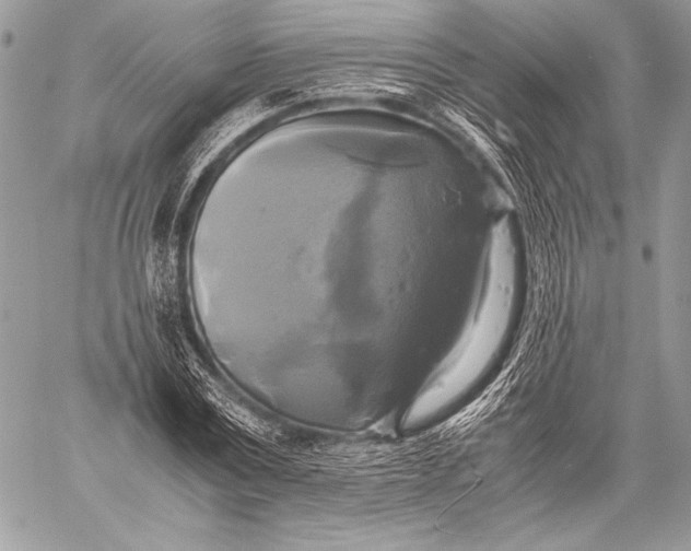 X0000059780779200511111508