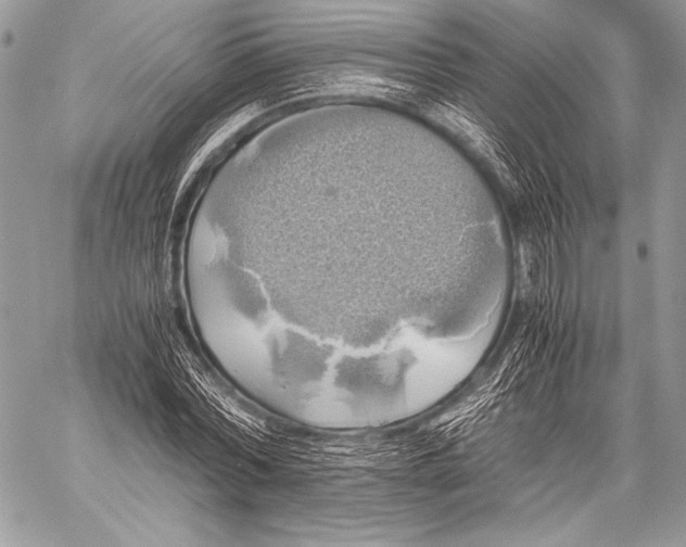 X0000059780780200511111508
