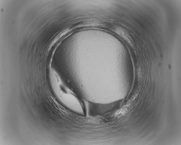 X0000059780781200511111508