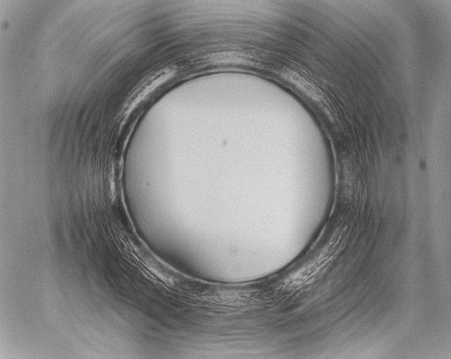 X0000059780782200511111508