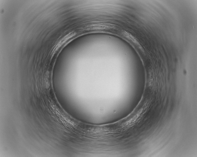 X0000059780786200511111508