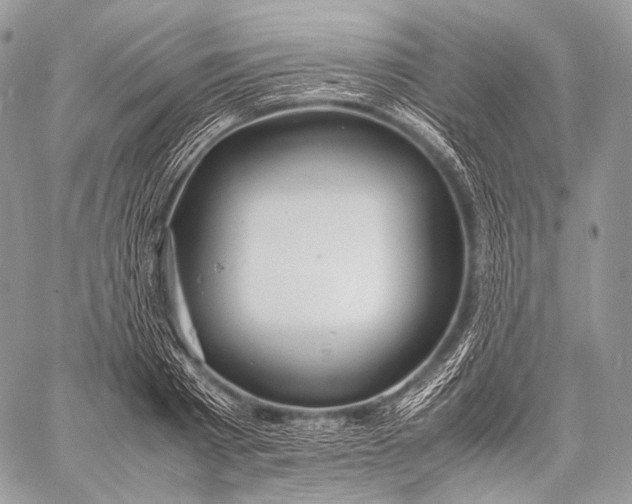 X0000059780793200511111508