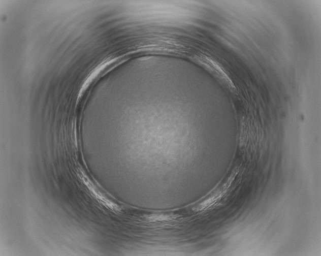 X0000059780796200511111508