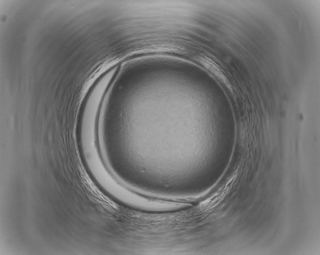 X0000059780797200511111508