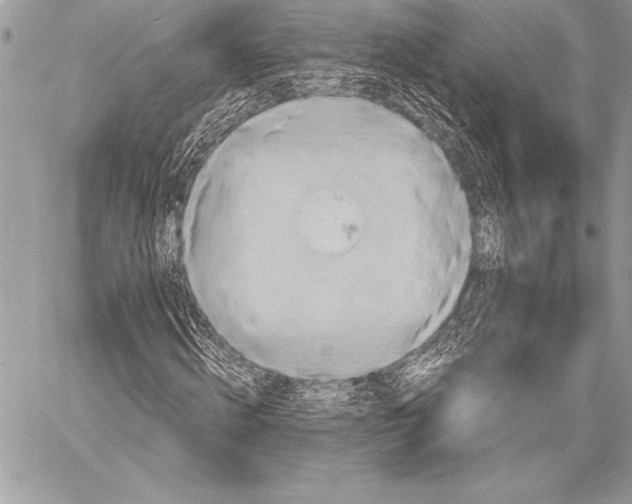 X0000059780820200511111507
