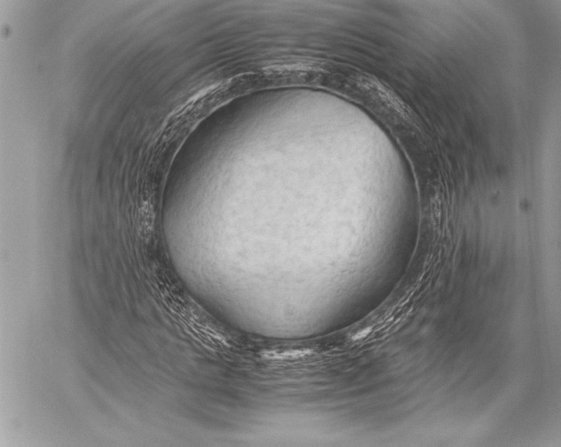 X0000059780821200511111507