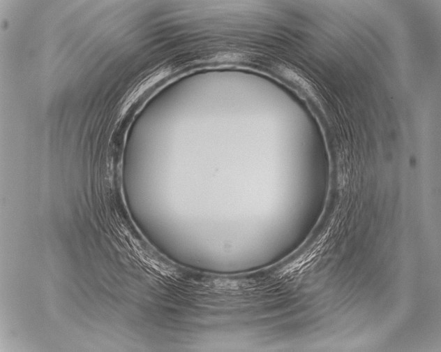 X0000059780827200511111507