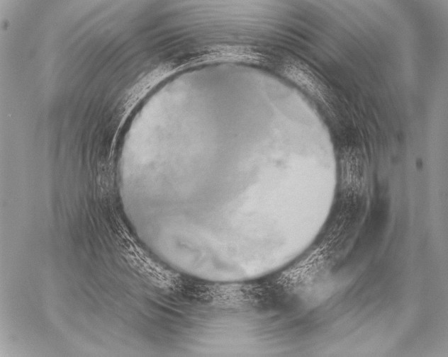 X0000059780828200511111507
