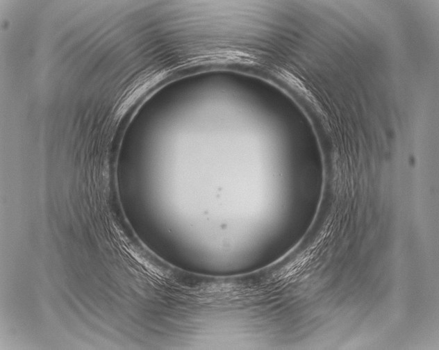 X0000059780834200511111507