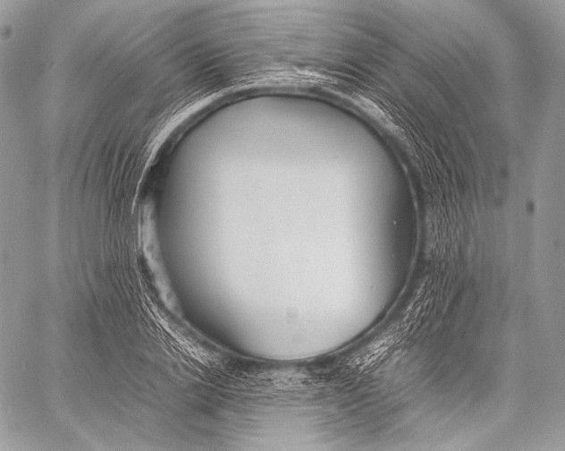 X0000059780838200511111507