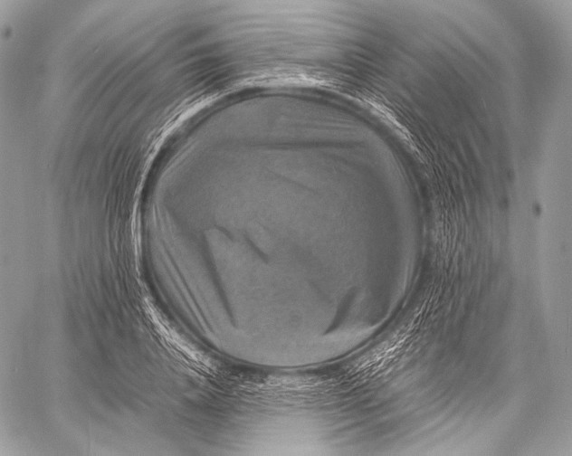 X0000059780840200511111507