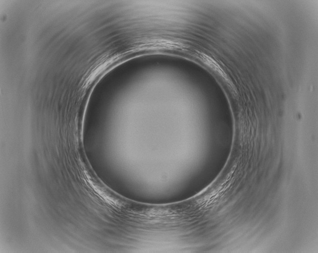 X0000059780842200511111507