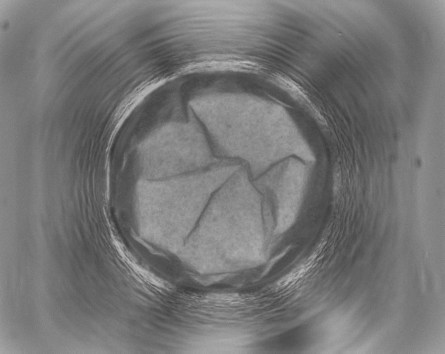 X0000059780844200511111507