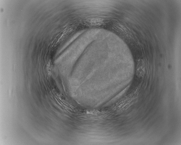 X0000059780866200511111507