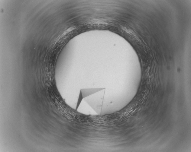 X0000059780870200511111507