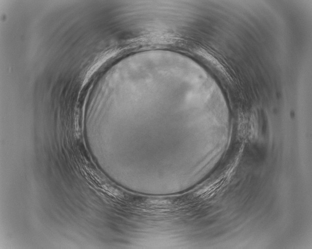 X0000059780878200511111507