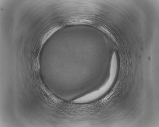 X0000059780885200511111506