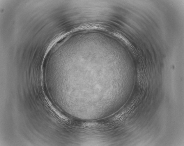 X0000059780894200511111506