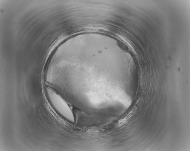 X0000059780899200511111506