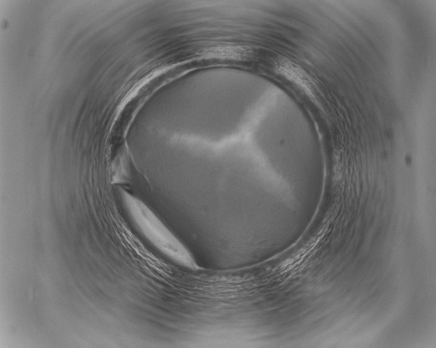 X0000059780923200511111505